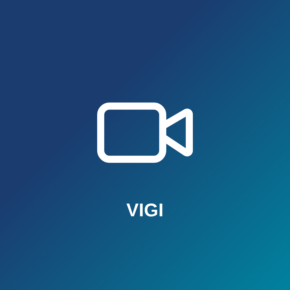 VIGI (voorlopige afbeelding)